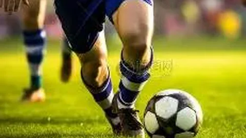 立博体育 产品 135005 5rn