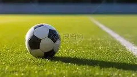 贝林厄姆崭露头角，罗伊斯盛赞其勇敢拼搏