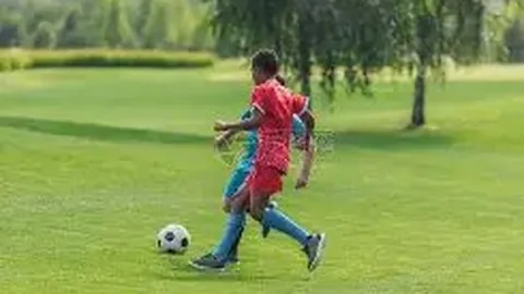 【匠心独运】数据宝藏尽收囊中，量化魅力一网打尽！